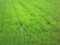 20150727173700