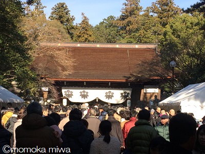 f:id:miwamomoka:20190101192240j:plain
