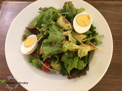 f:id:miwamomoka:20190301112902j:plain f:id:miwamomoka:20190301112902j:plain