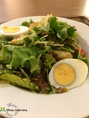 f:id:miwamomoka:20190301113042j:plain f:id:miwamomoka:20190301113042j:plain