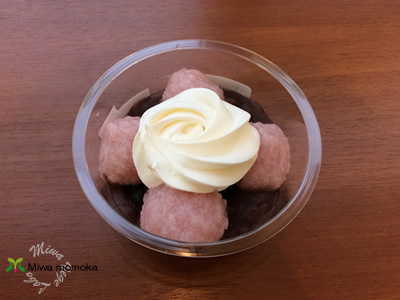 f:id:miwamomoka:20190403124637j:plain