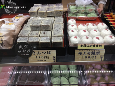 f:id:miwamomoka:20190415105757j:plain