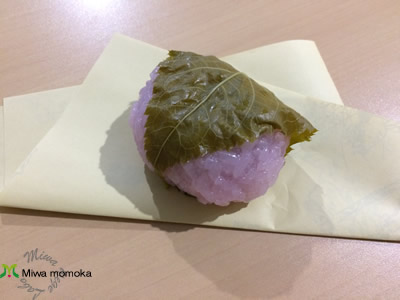 f:id:miwamomoka:20190415105820j:plain