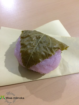 f:id:miwamomoka:20190415105924j:plain