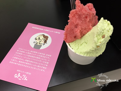 f:id:miwamomoka:20190723110155j:plain