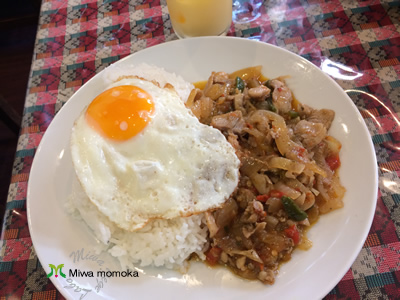 f:id:miwamomoka:20190928124941j:plain