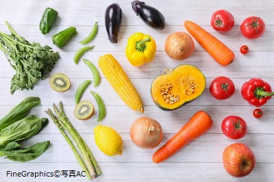 f:id:miwamomoka:20191004104342j:plain f:id:miwamomoka:20191004104342j:plain