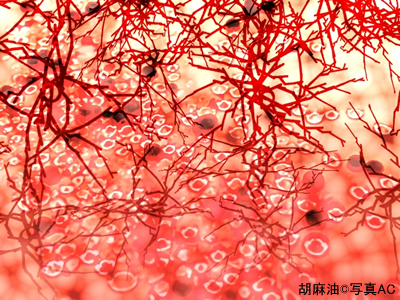 f:id:miwamomoka:20200323071507j:plain f:id:miwamomoka:20200323071507j:plain