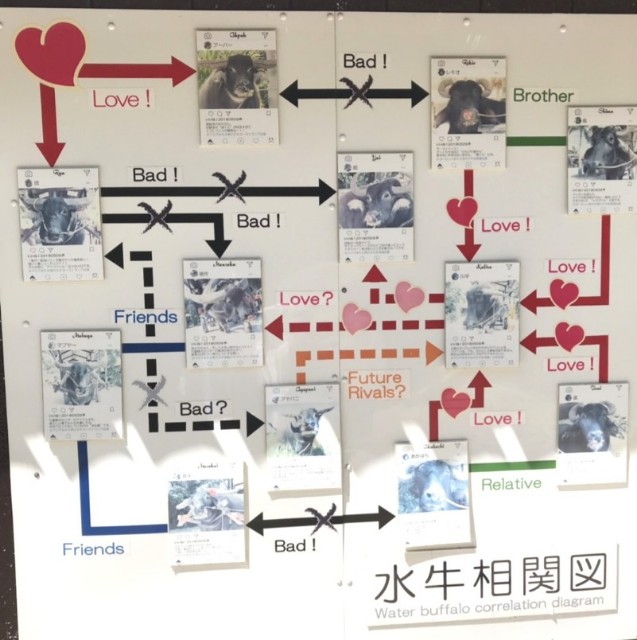 f:id:miwanotabi:20190901213854j:plain f:id:miwanotabi:20190901213854j:plain