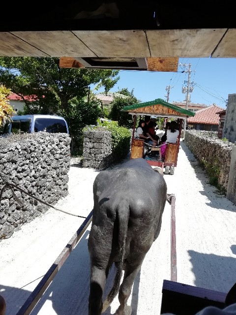 f:id:miwanotabi:20190901213959j:plain f:id:miwanotabi:20190901213959j:plain