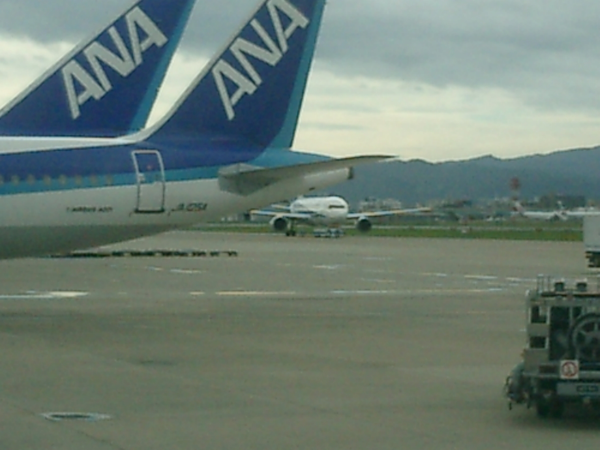 f:id:miwanotabi:20200209174558j:plain