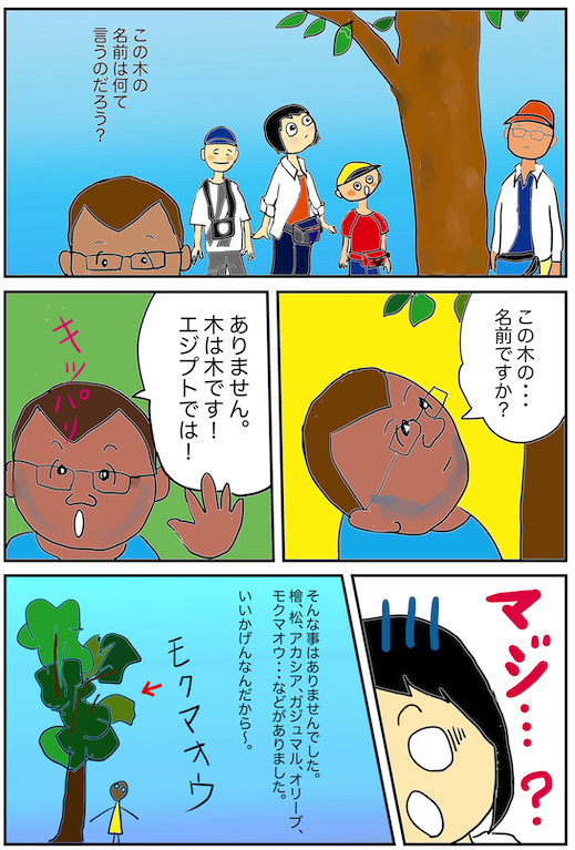 f:id:miwanotabi:20200214184533j:plain