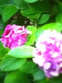 20100707224204