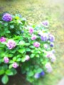 20100707224205