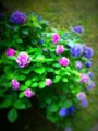 20100707224206