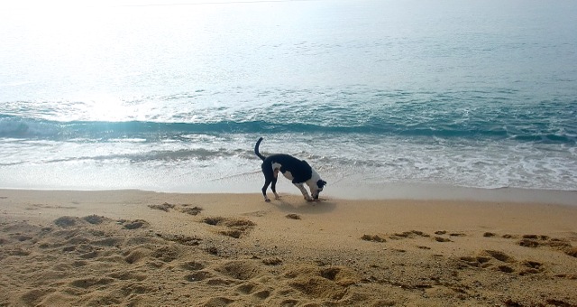 f:id:miwartequiero:20170418192303j:plain