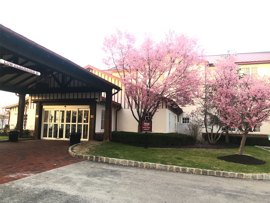 f:id:miwataku:20190409161329j:image f:id:miwataku:20190409161329j:image
