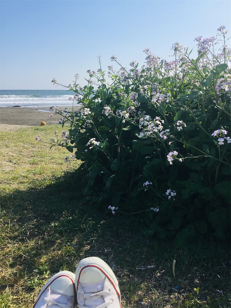 f:id:miwatime0426:20190505084044j:plain