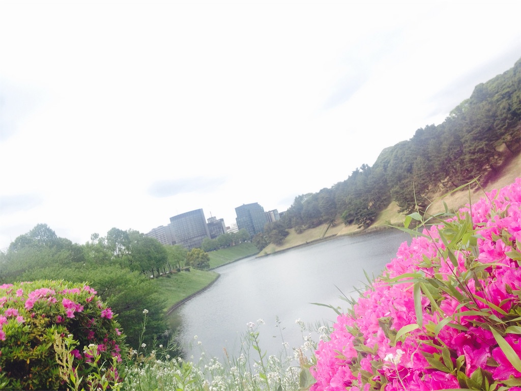 f:id:miwatime0426:20190514161542j:plain