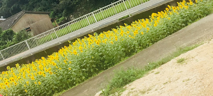 f:id:miwatime0426:20191105173638j:plain f:id:miwatime0426:20191105173638j:plain