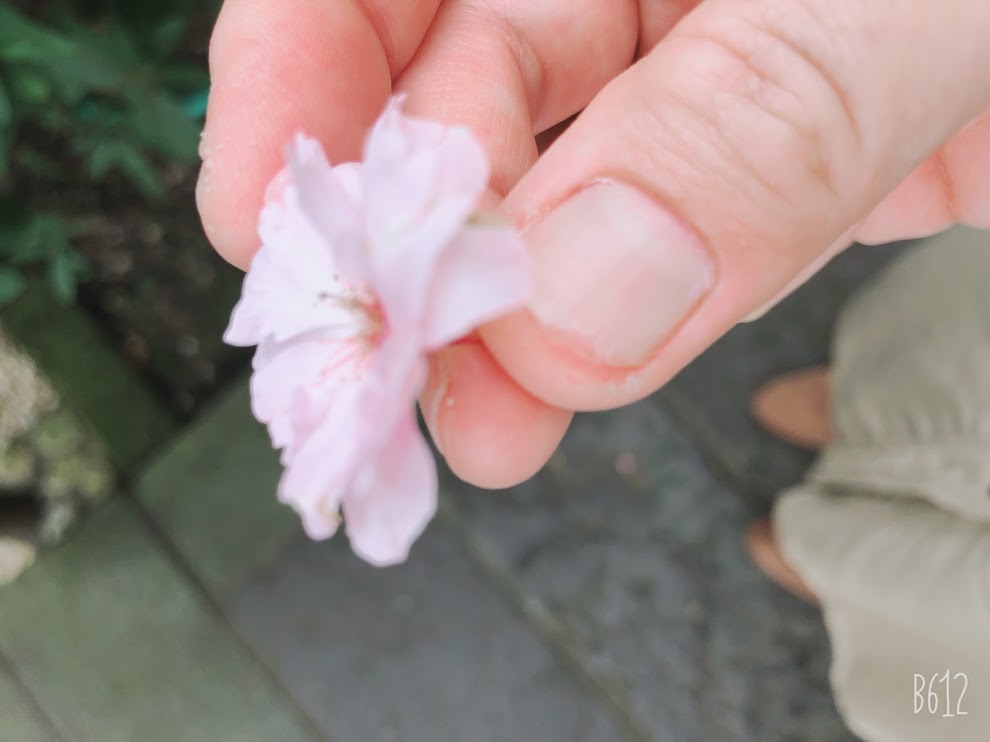 f:id:miwatime0426:20191107204208j:plain f:id:miwatime0426:20191107204208j:plain