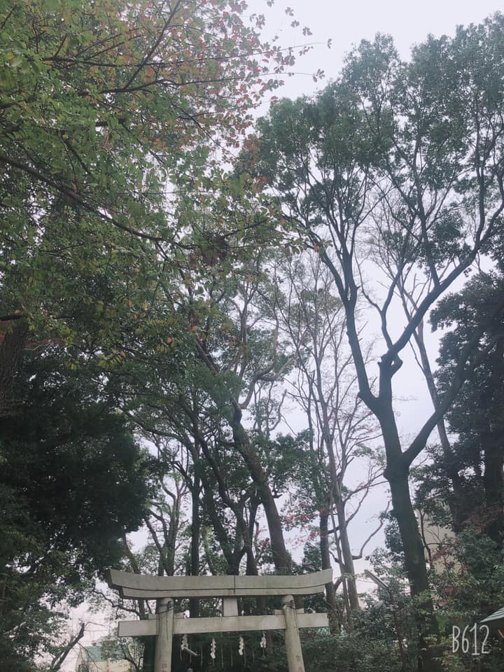 f:id:miwatime0426:20191221192649j:plain