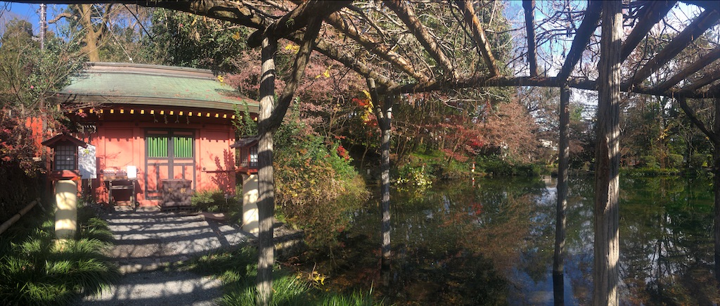 f:id:miwatime0426:20191226212645j:image f:id:miwatime0426:20191226212645j:image