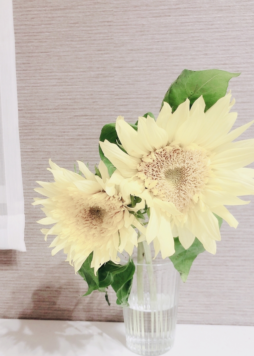 f:id:miwatime0426:20200531213012j:plain f:id:miwatime0426:20200531213012j:plain