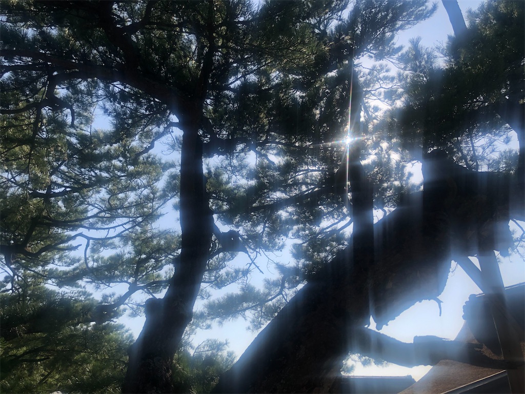 f:id:miwatime0426:20201002220149j:image