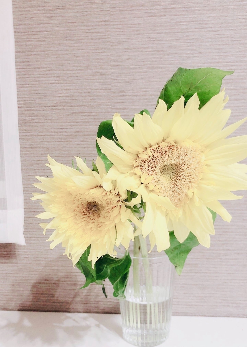 f:id:miwatime0426:20201014212753j:plain f:id:miwatime0426:20201014212753j:plain