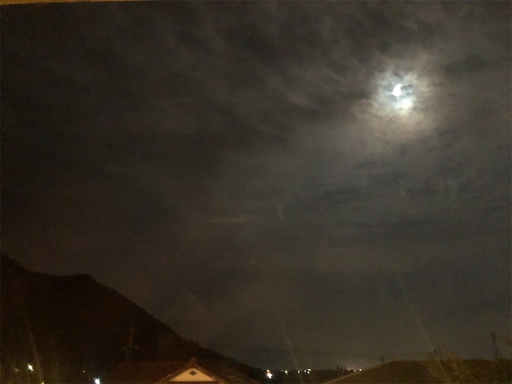 f:id:miwatime0426:20201117211244j:plain