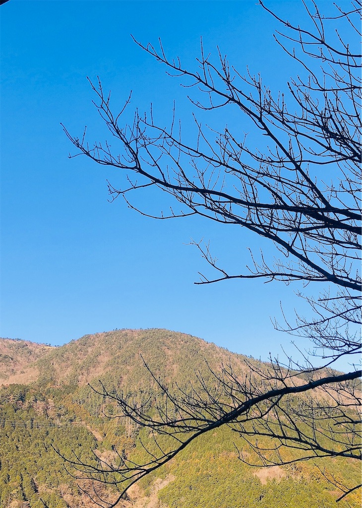 f:id:miwatime0426:20210119160115j:image