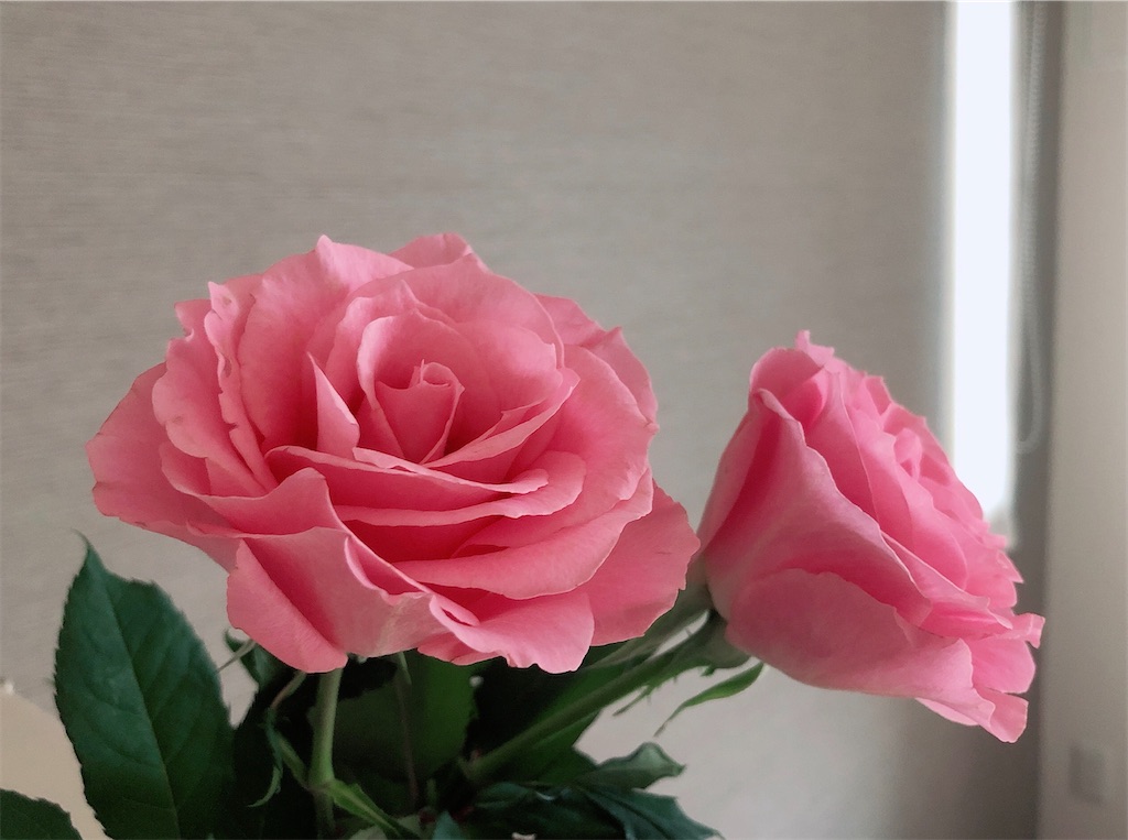 f:id:miwatime0426:20210128230646j:image