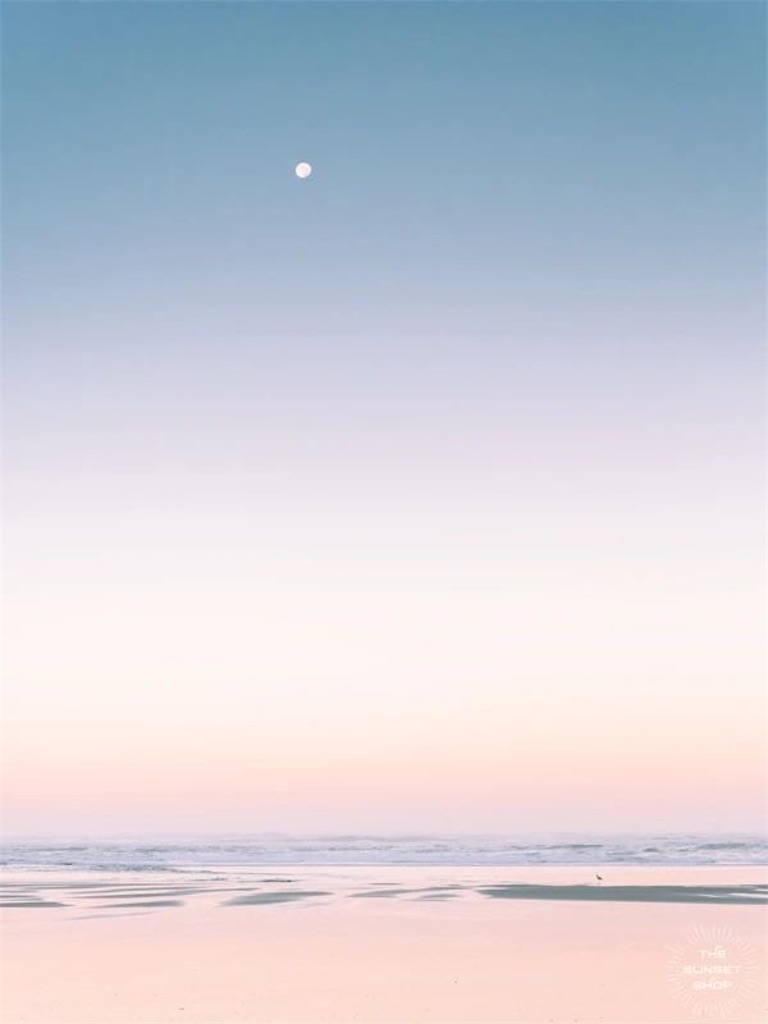 f:id:miwatime0426:20210304155250j:plain