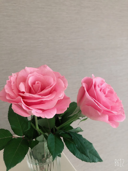 f:id:miwatime0426:20210305205329j:plain