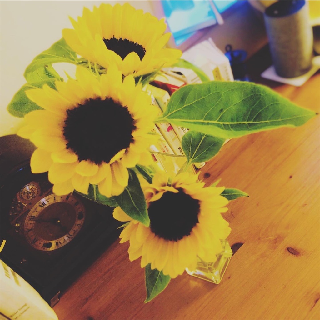 f:id:miwatime0426:20210314043532j:image