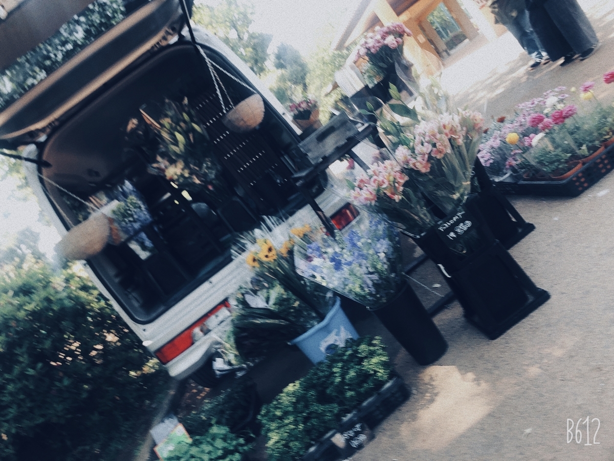 f:id:miwatime0426:20210420194005j:plain