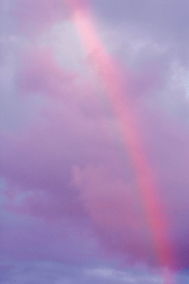f:id:miwatime0426:20220111181707j:plain