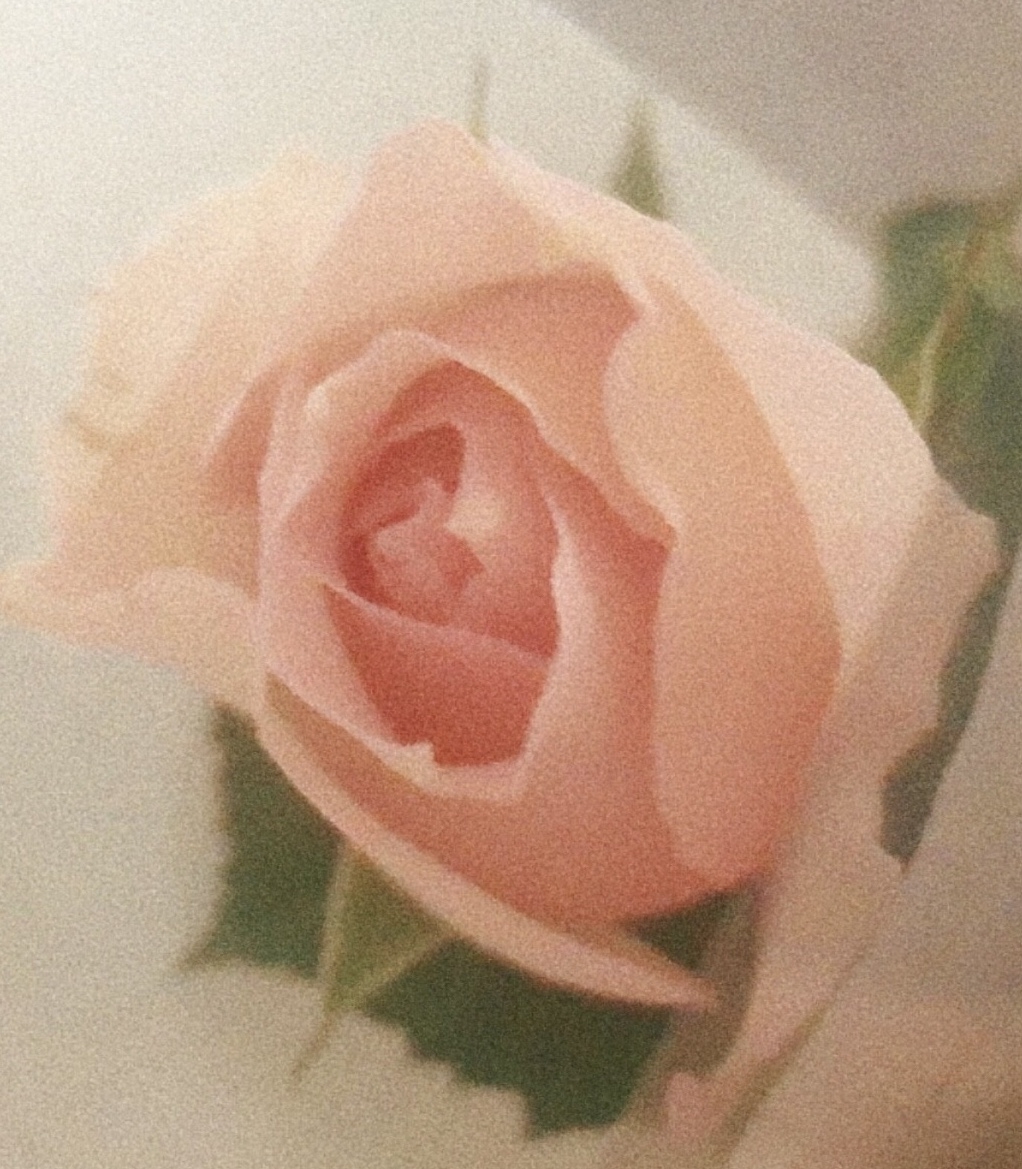f:id:miwatime0426:20220111182243j:plain