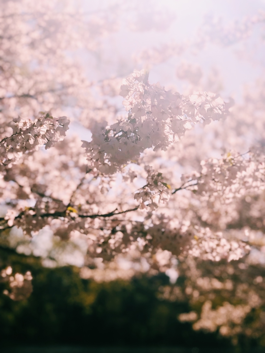f:id:miwatime0426:20220111182330j:plain
