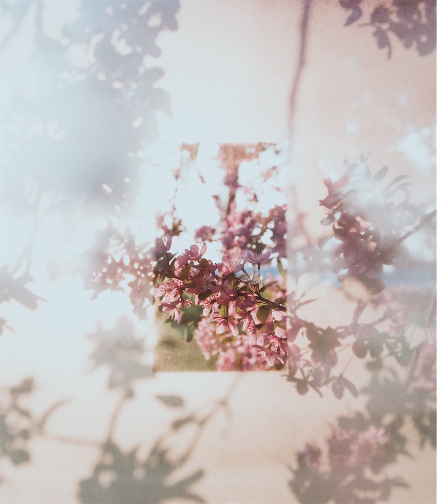 f:id:miwatime0426:20220115163915j:image f:id:miwatime0426:20220115163915j:image