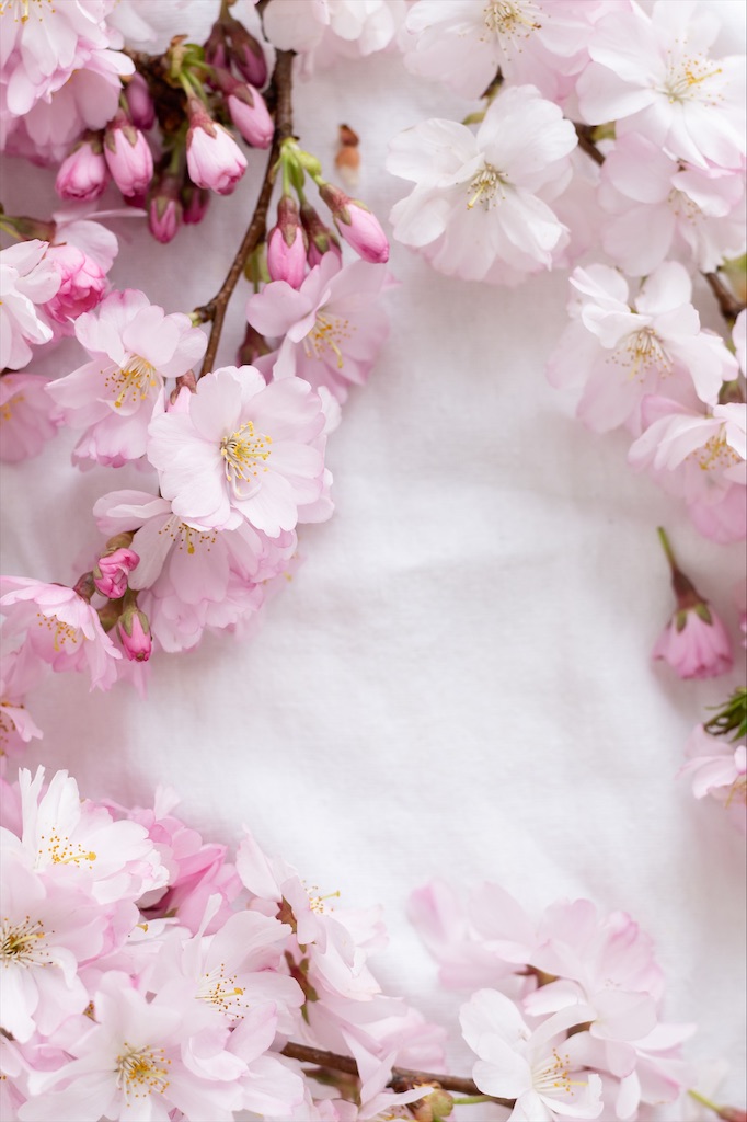 f:id:miwatime0426:20220115173001j:image f:id:miwatime0426:20220115173001j:image