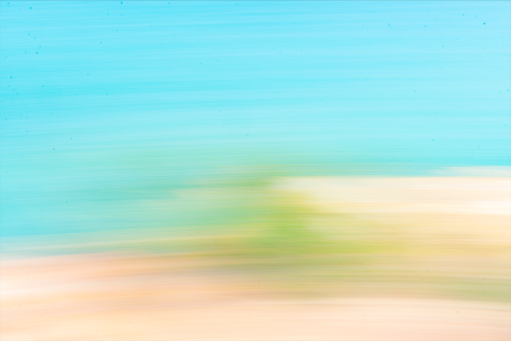 f:id:miwatime0426:20220120134317j:plain