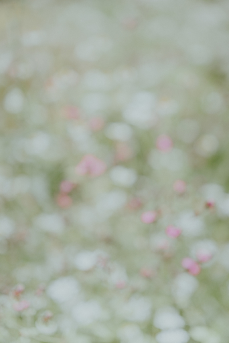 f:id:miwatime0426:20220120203809j:plain