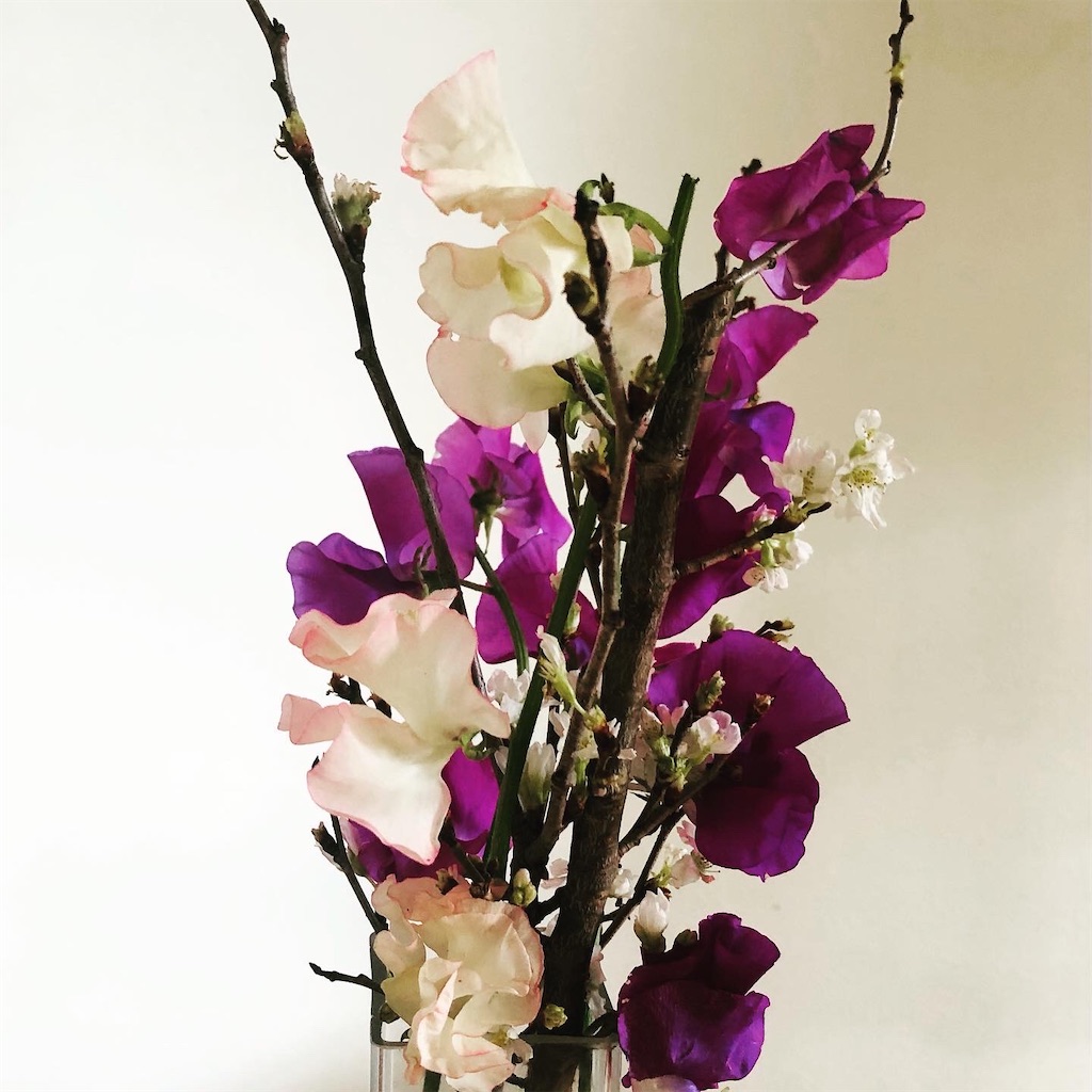 f:id:miwatime0426:20220125014016j:image