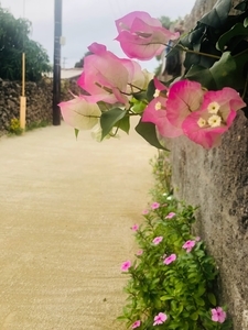 f:id:miwatime0426:20220213155153j:image