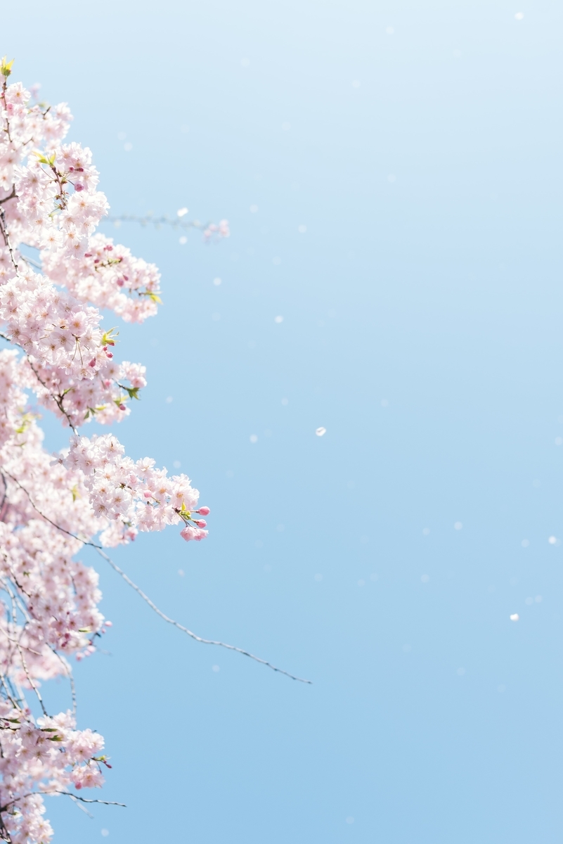 f:id:miwatime0426:20220311125751j:plain