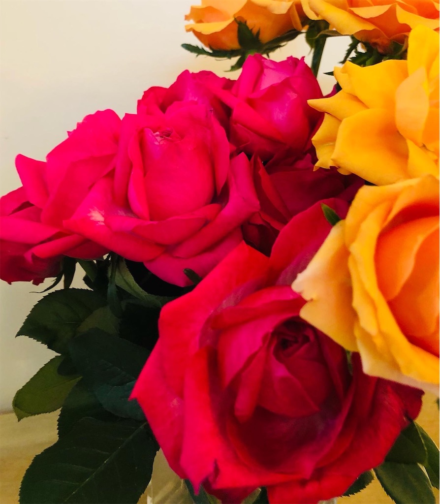 f:id:miwatime0426:20220415193448j:image