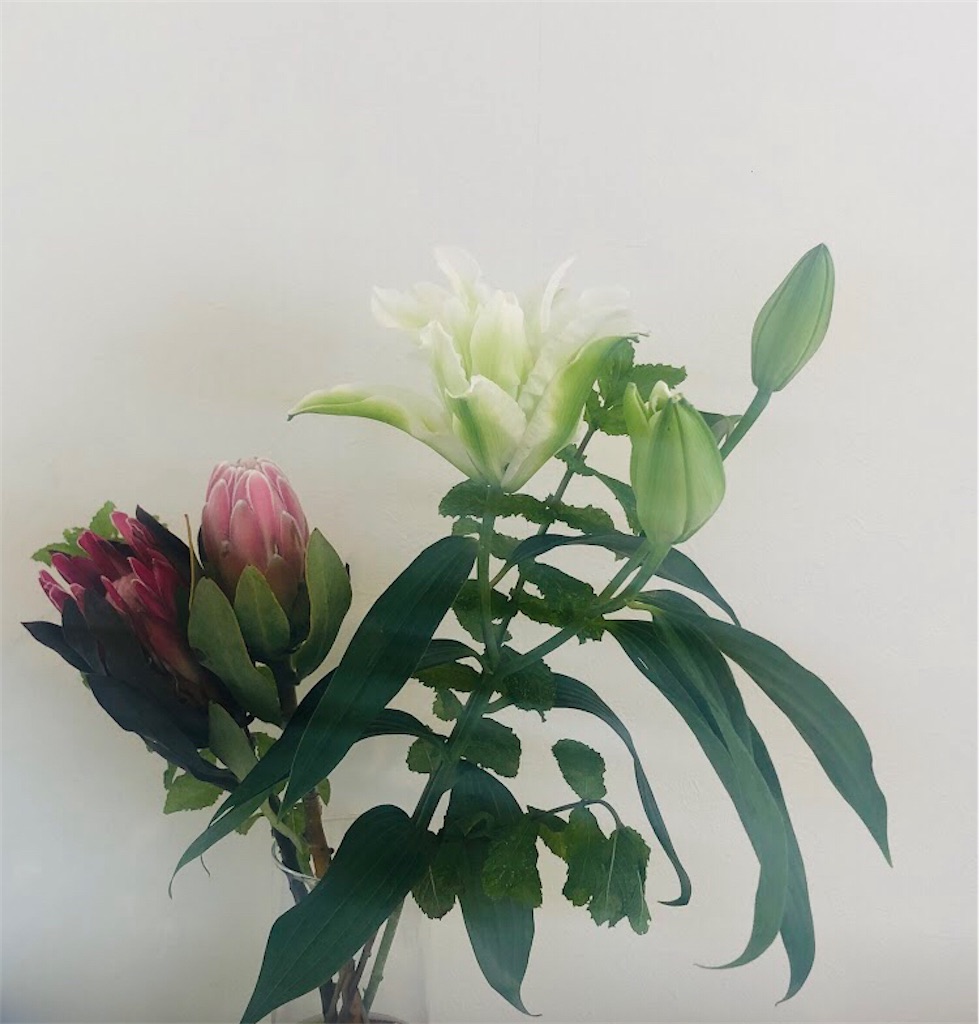 f:id:miwatime0426:20220717162826j:image f:id:miwatime0426:20220717162826j:image