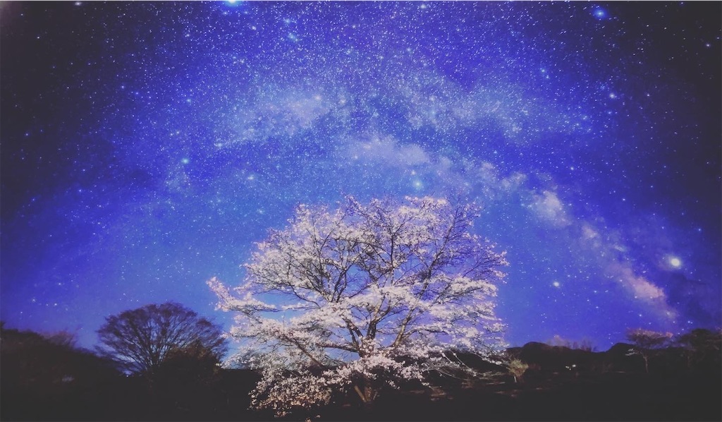 f:id:miwatime0426:20220809215134j:image f:id:miwatime0426:20220809215134j:image